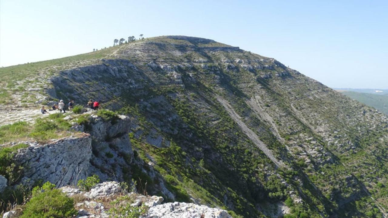 Willa Quinta Do Sanguinhal Rio Maior Zewnętrze zdjęcie